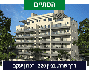 דרך שרה 220