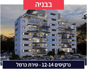 נרקיסים 12-14
