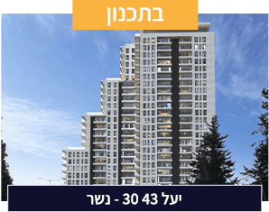 יעל 30 43 - נשר